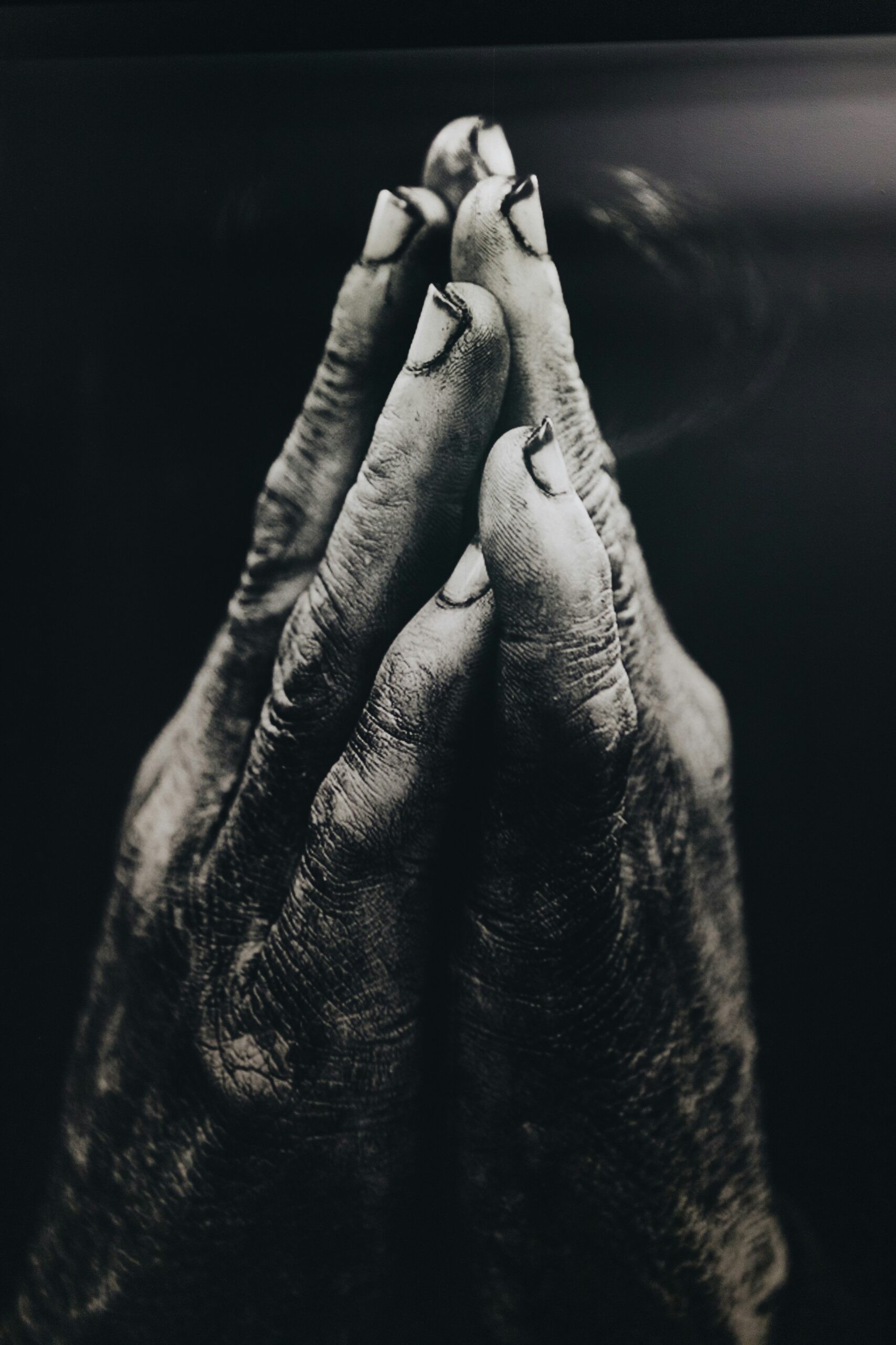 Seniors Ministry 3