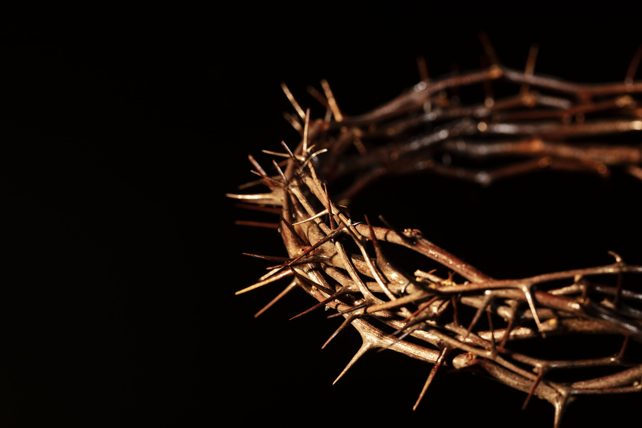 Crown of thorns